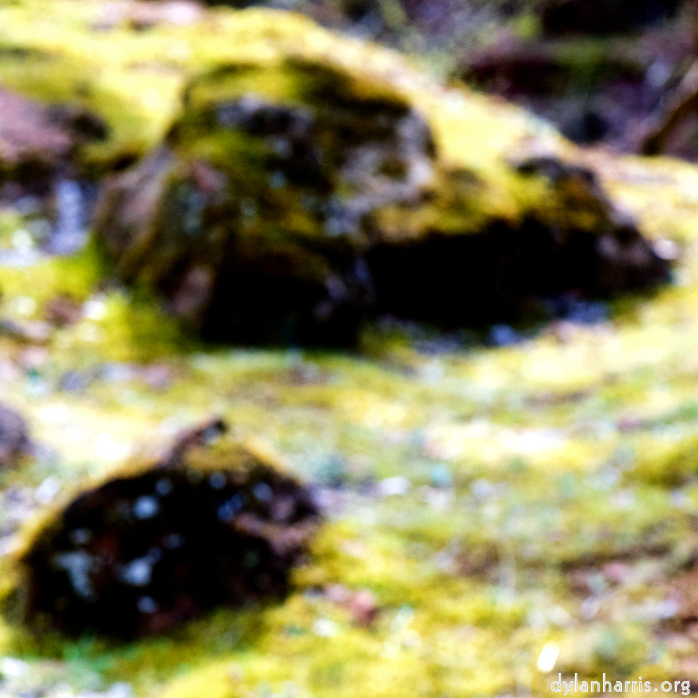 image: This is &lsquo;wood (xliv) 4&rsquo;.