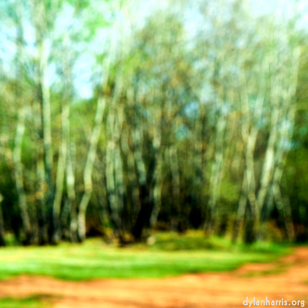 image: This is &lsquo;wood (xliv) 5&rsquo;.