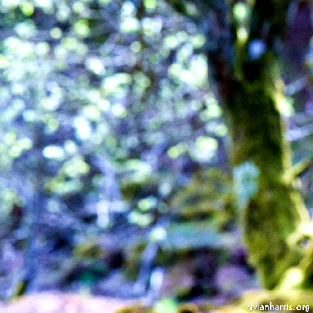 image: This is &lsquo;wood (xliv) 6&rsquo;.