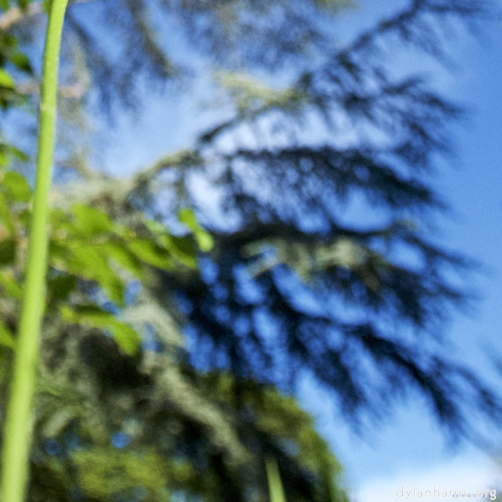 image: This is &lsquo;parc (xviii) 2&rsquo;.