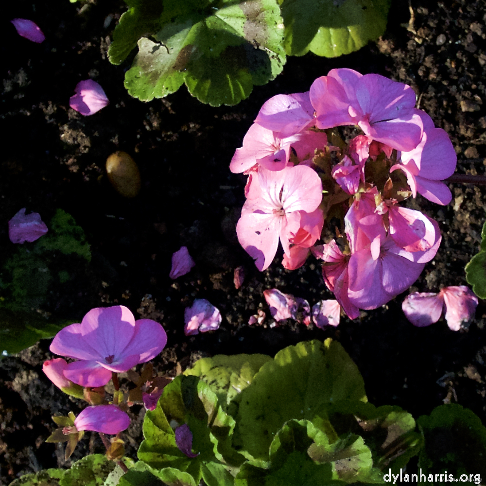 image: This is &lsquo;parc (xviii) 3&rsquo;.