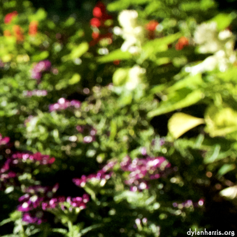 image: This is &lsquo;parc (xviii) 5&rsquo;.