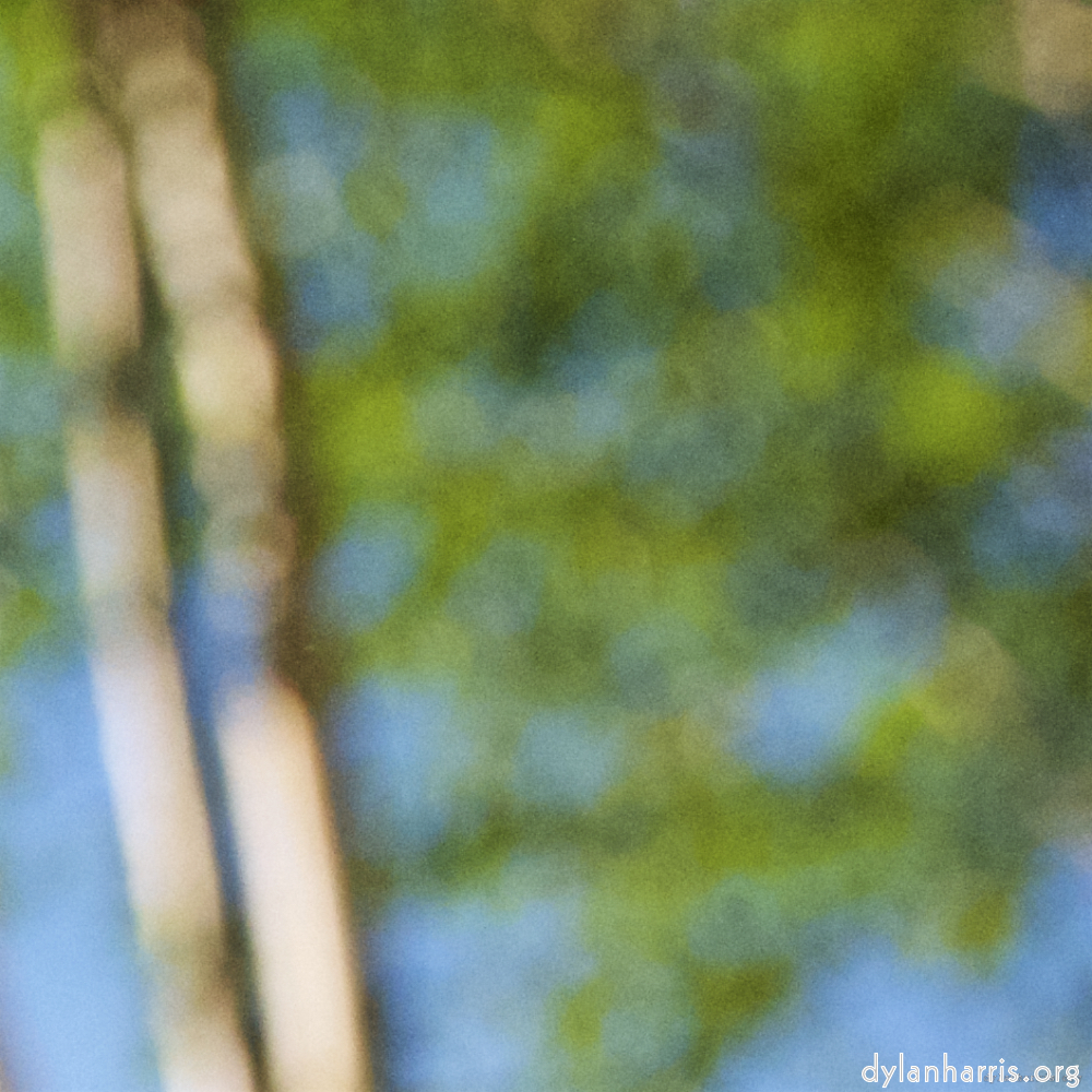 image: This is &lsquo;parc (xviii) 6&rsquo;.