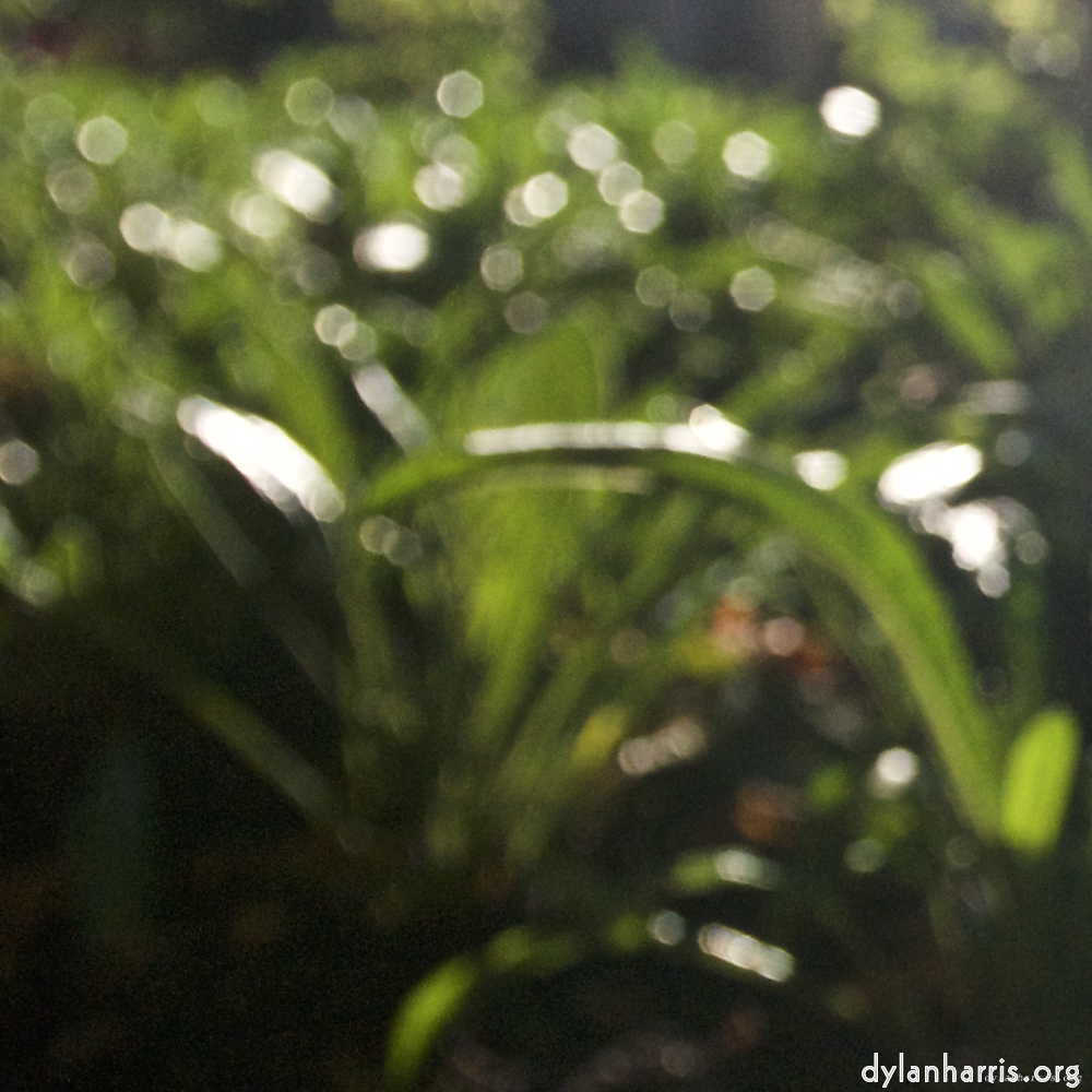 image: This is &lsquo;parc (xviii) 8&rsquo;.