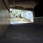 Image: Fifth image from the photoset 'untitled (xxxi)'.