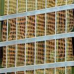 Image: Sixth image from the photoset 'untitled (xxxi)'.