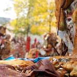 Image: Ninth image from the photoset 'sculpture (iii)'.