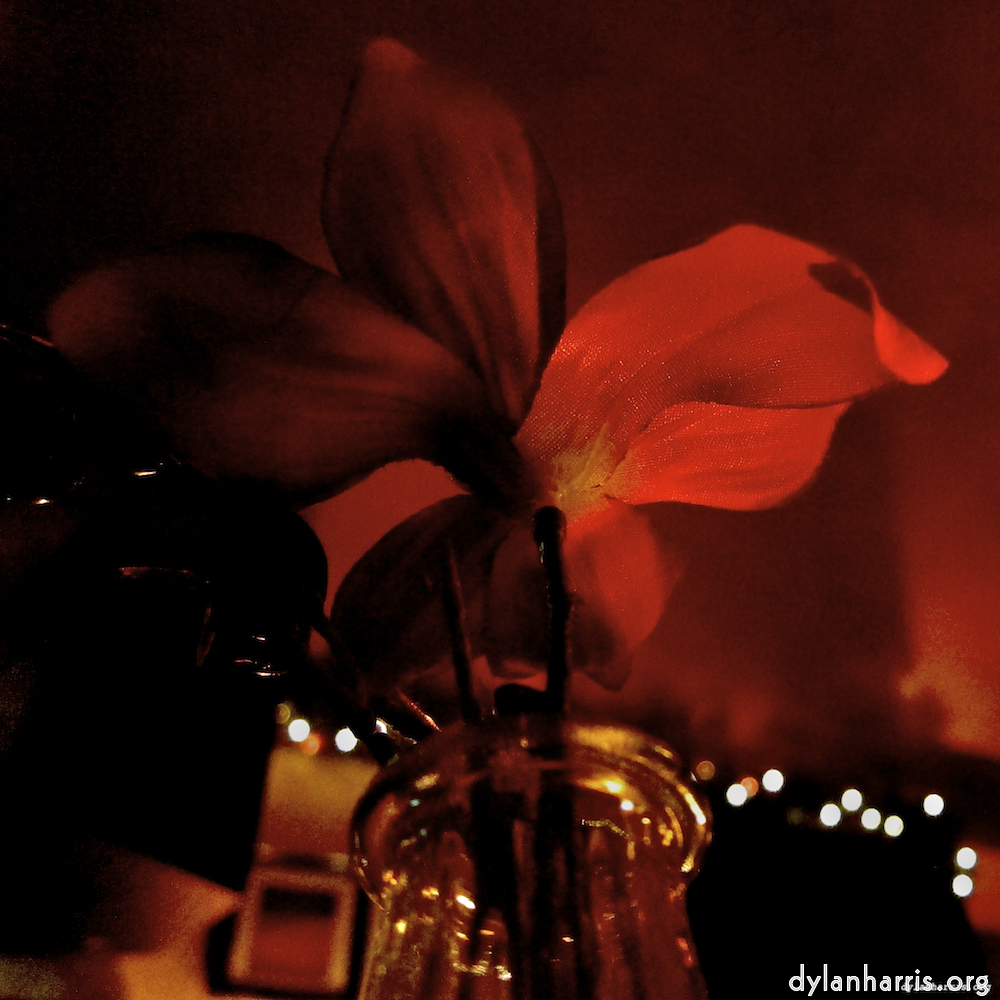 Image 'eindhoven (i) 8'.