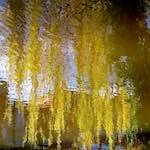 First image from the photoset 'eindhoven (i)'.