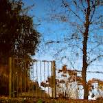 Third image from the photoset 'eindhoven (i)'.