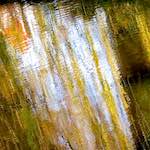 Seventh image from the photoset 'eindhoven (i)'.