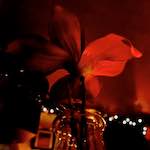 Eighth image from the photoset 'eindhoven (i)'.