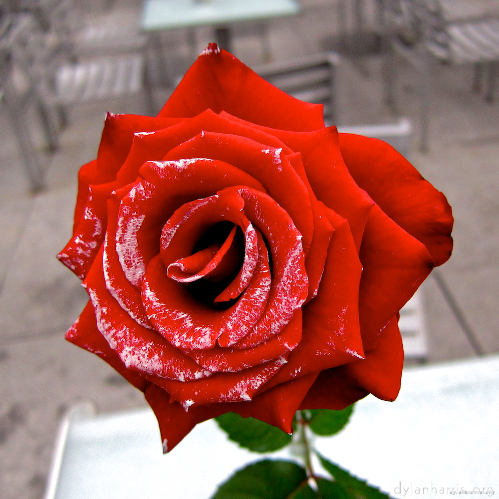 Image 'paris (xv) 6'.