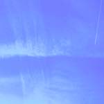 First image from the photoset 'paris (xv)'.