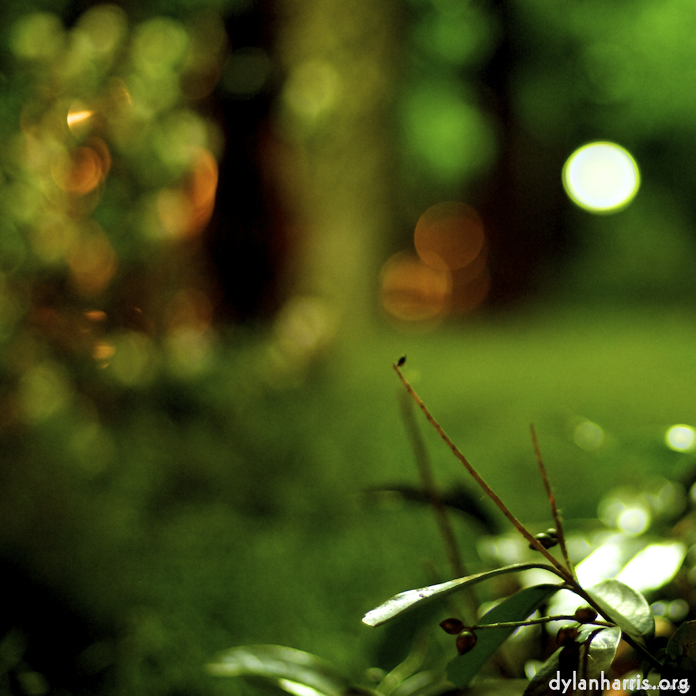 Image 'parc (vi) 4'.