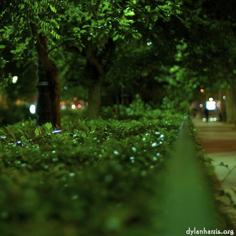 Image 'parc (vi) 6'.