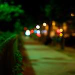 Tenth image from the photoset 'parc (vi)'.