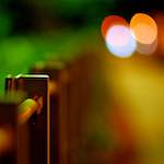 Twelfth image from the photoset 'parc (vi)'.