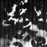 Fifth image from the photoset 'parc (vi)'.