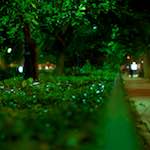 Sixth image from the photoset 'parc (vi)'.