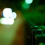 Seventh image from the photoset 'parc (vi)'.