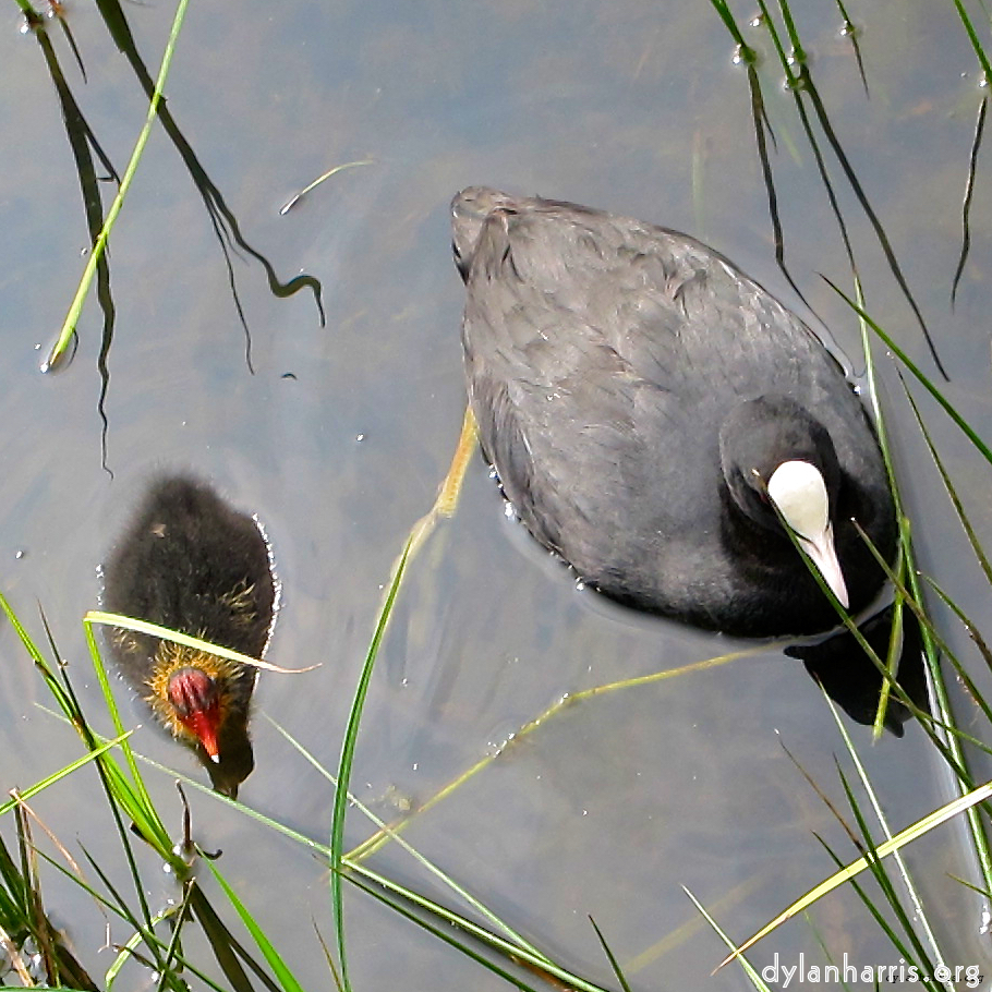 Image 'eindhoven (vi) 1'.