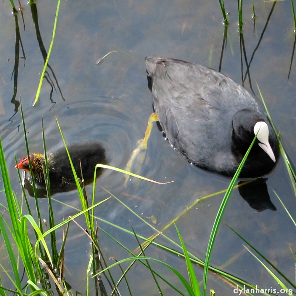 Image 'eindhoven (vi) 2'.