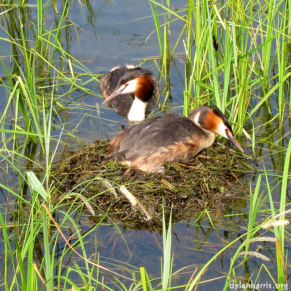 Image: Image 'eindhoven (vi) 3'.