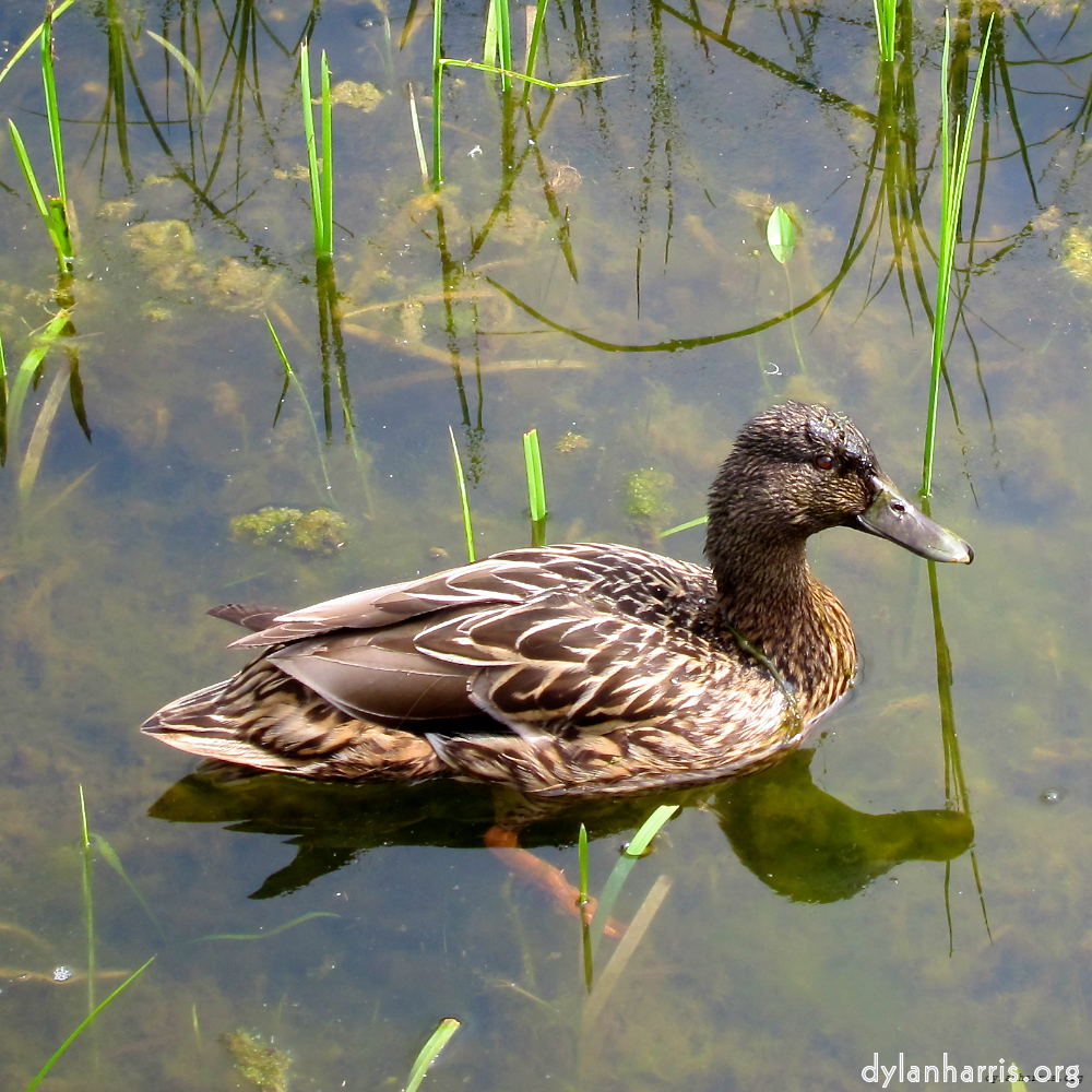 Image: Image 'eindhoven (vi) 4'.