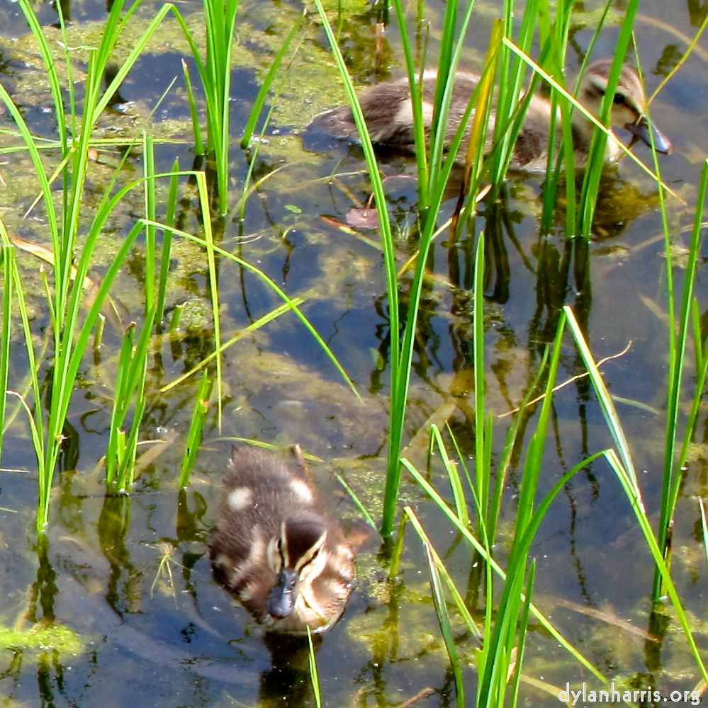 Image 'eindhoven (vi) 5'.