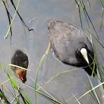 First image from the photoset 'eindhoven (vi)'.