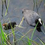 Second image from the photoset 'eindhoven (vi)'.