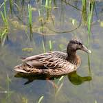 Fourth image from the photoset 'eindhoven (vi)'.