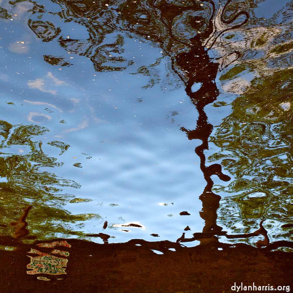 Image 'amsterdam (ii) 6'.