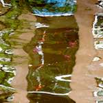 Image: Fourth image from the photoset 'amsterdam (ii)'.