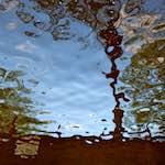 Image: Sixth image from the photoset 'amsterdam (ii)'.