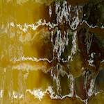 First image from the photoset 'amsterdam (iii)'.