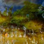 Fourth image from the photoset 'amsterdam (iii)'.