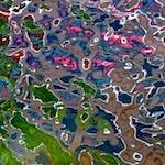 Sixth image from the photoset 'amsterdam (iii)'.