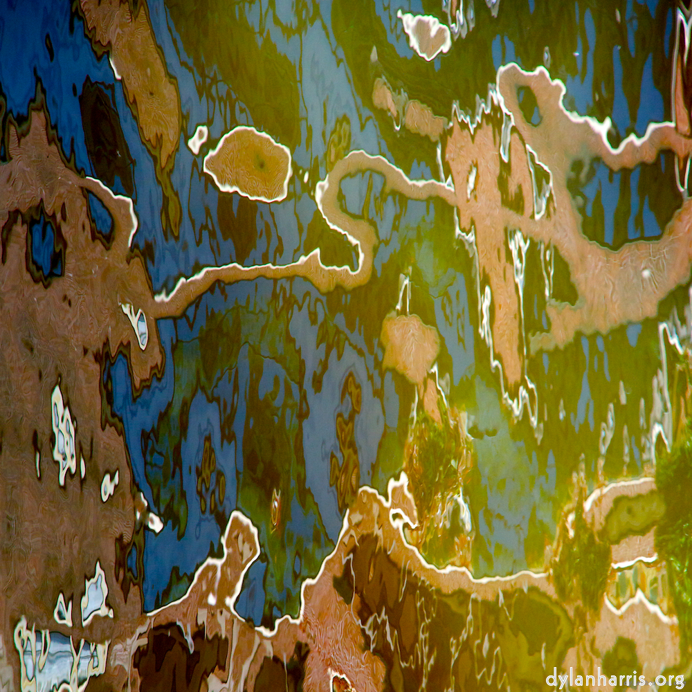 Image 'amsterdam (iv) 1'.