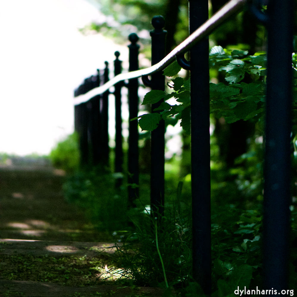 Image: Image 'escher blummen (xcii) 5'.