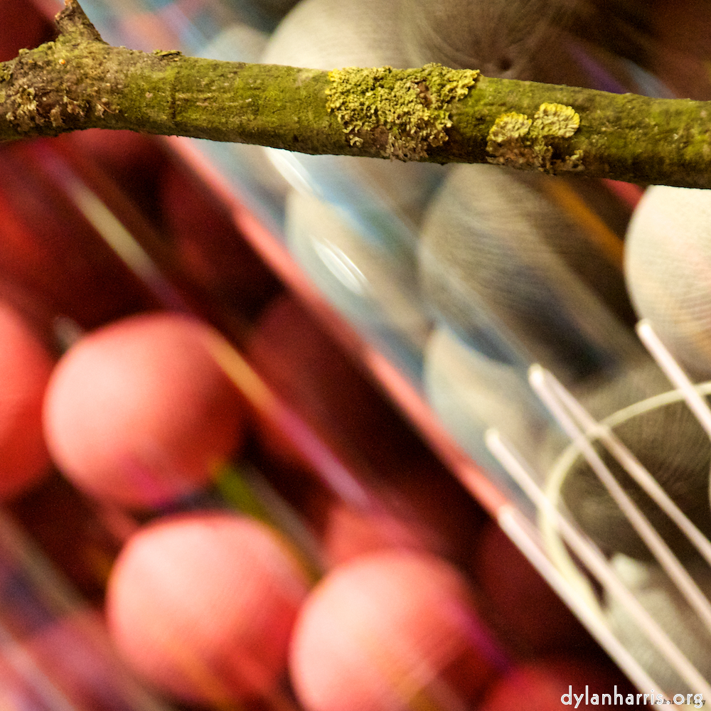 Image: Image 'antwerp (iii) 8'.