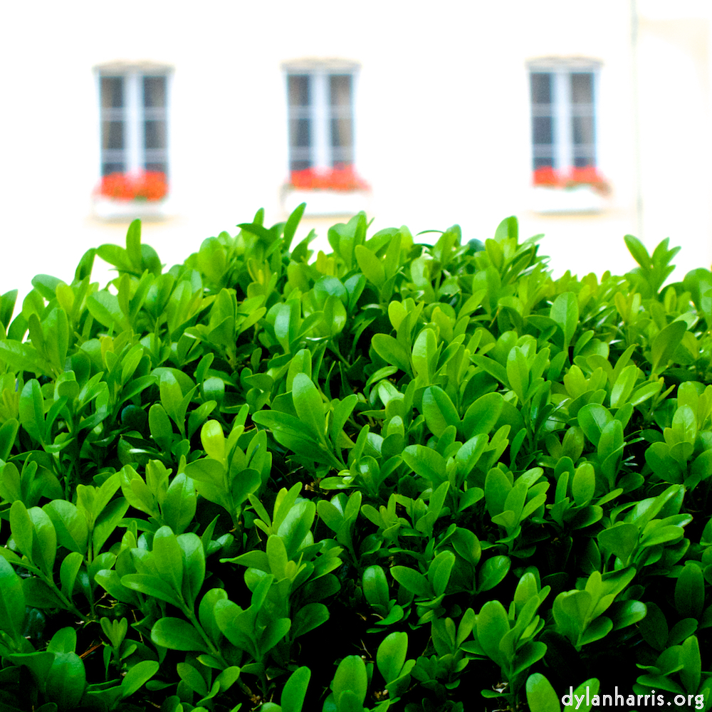 Image 'grund (ix) 2'.