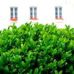 Second image from the photoset 'grund (ix)'.