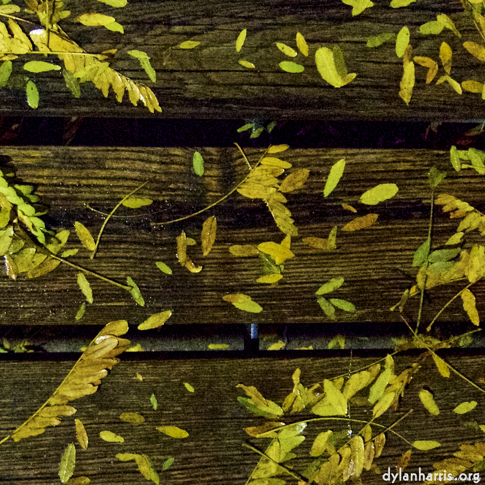 Image 'esch&ndash;sur&ndash;alzette (vii) 2', at Escher D&eacute;ierepark, head and torso of a doe.