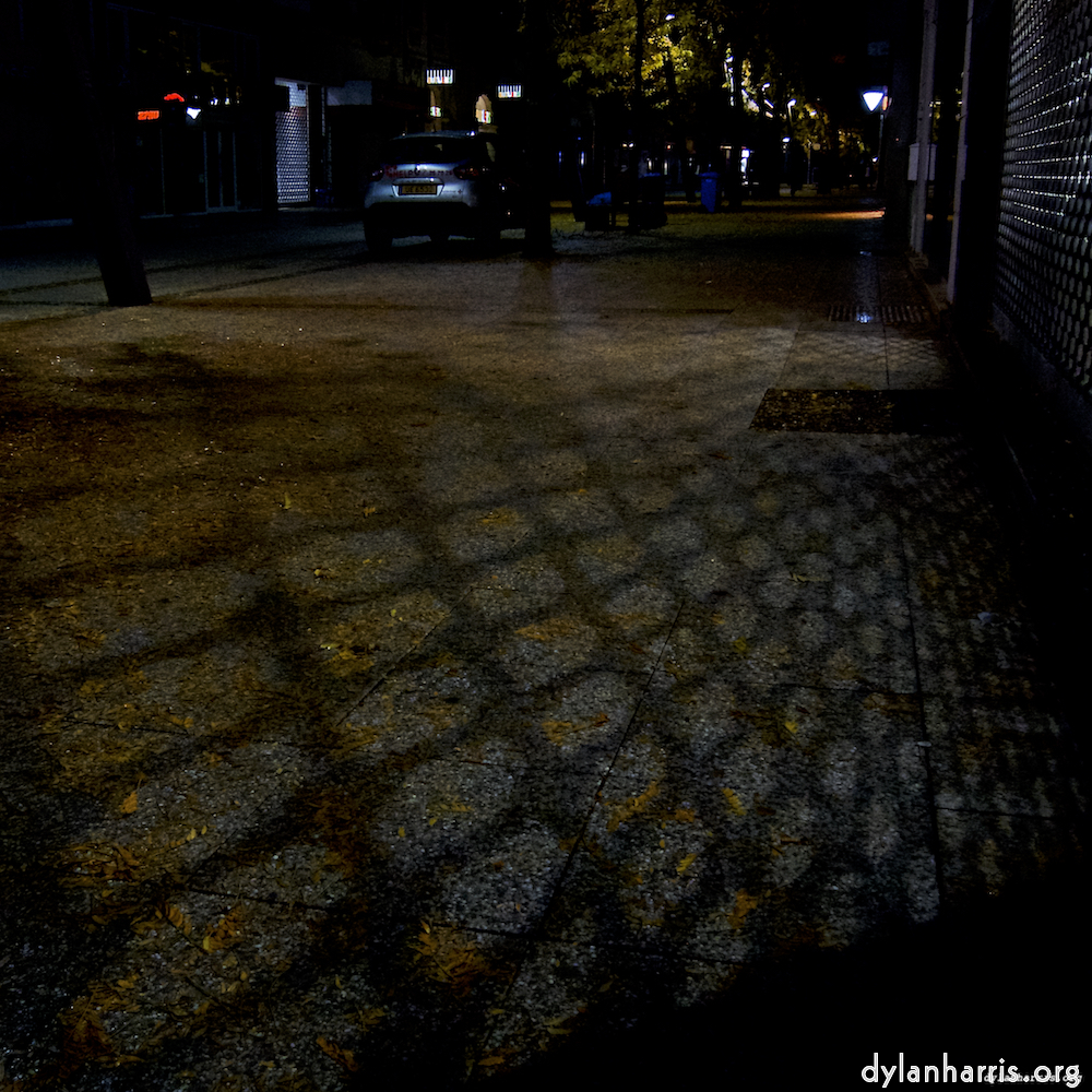 Image 'esch&ndash;sur&ndash;alzette (vii) 6', of daffodils.