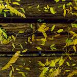 Second image of Escher D&eacute;ierepark, from the photoset 'esch&ndash;sur&ndash;alzette (vii)'.