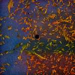 Fifth image of Escher D&eacute;ierepark, from the photoset 'esch&ndash;sur&ndash;alzette (vii)'.