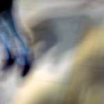 image: Image from the photoset &lsquo;paddington&rsquo;.