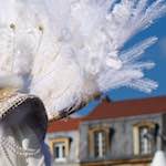 image: &agrave; la parade de longwy